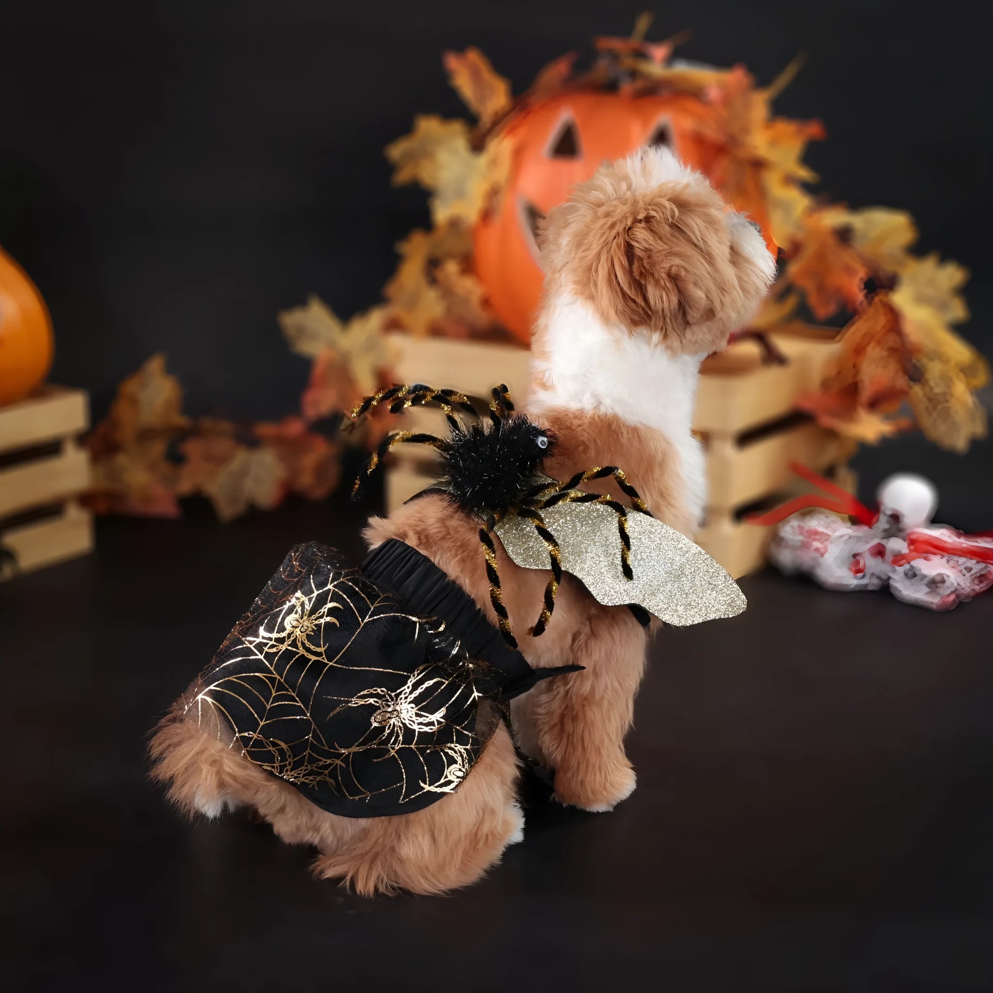 Polyester dog suit costume for Halloween parties in multiple dog sizes