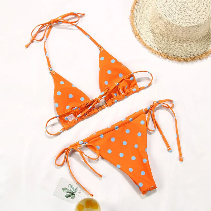 Women's polka dot print split swimsuit bikini with triangle briefs and V-neck design