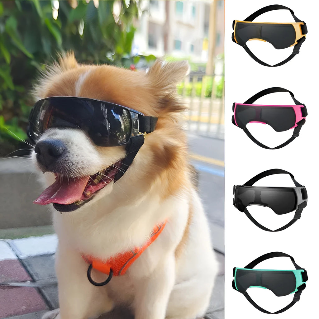 Dog UV-proof goggles with PC lens and adjustable nylon strap in black colour on a plain background