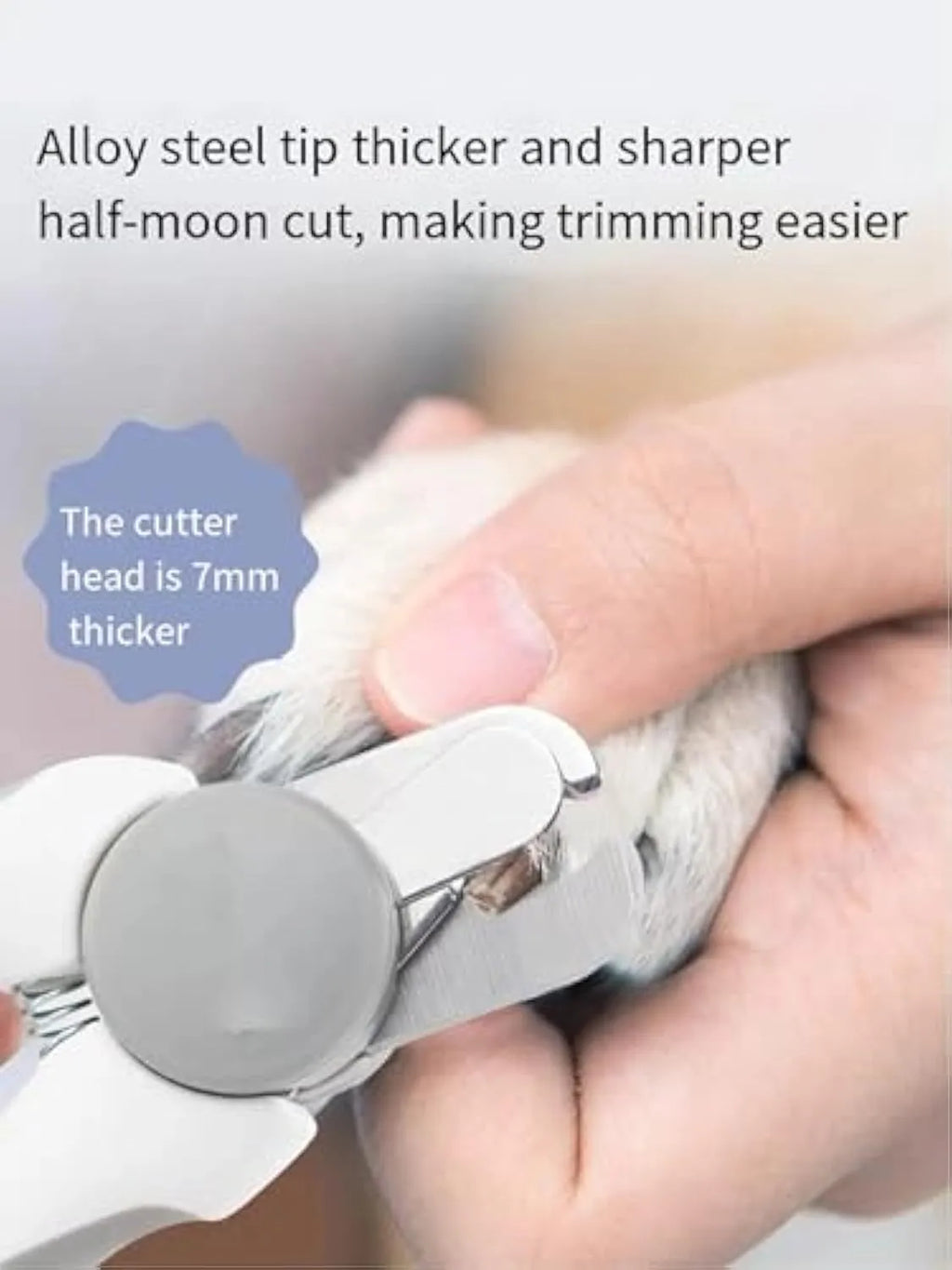 Blue heavy-duty dog nail clippers with safety guard for large breeds, shown with size scale.