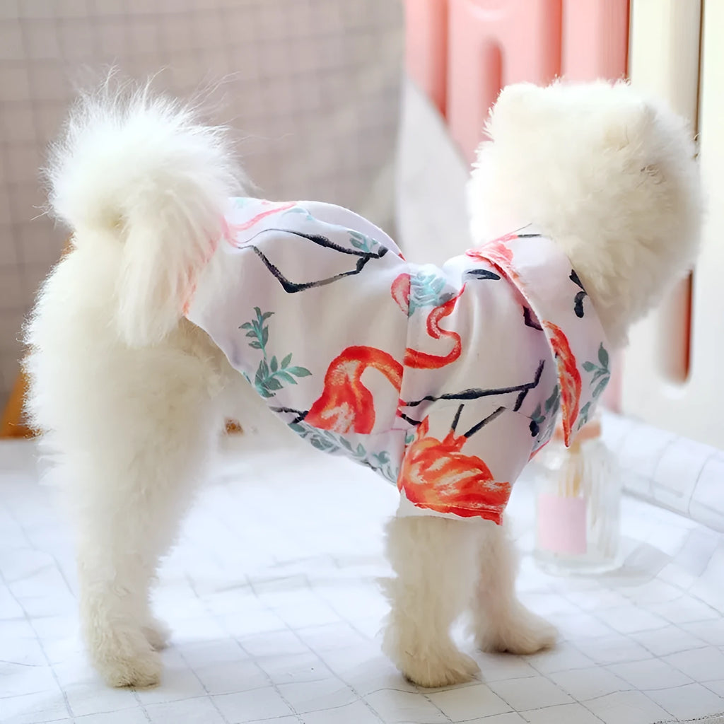 Small dog summer casual shirt with dragonfly print, cotton fabric, size M for thin breeds