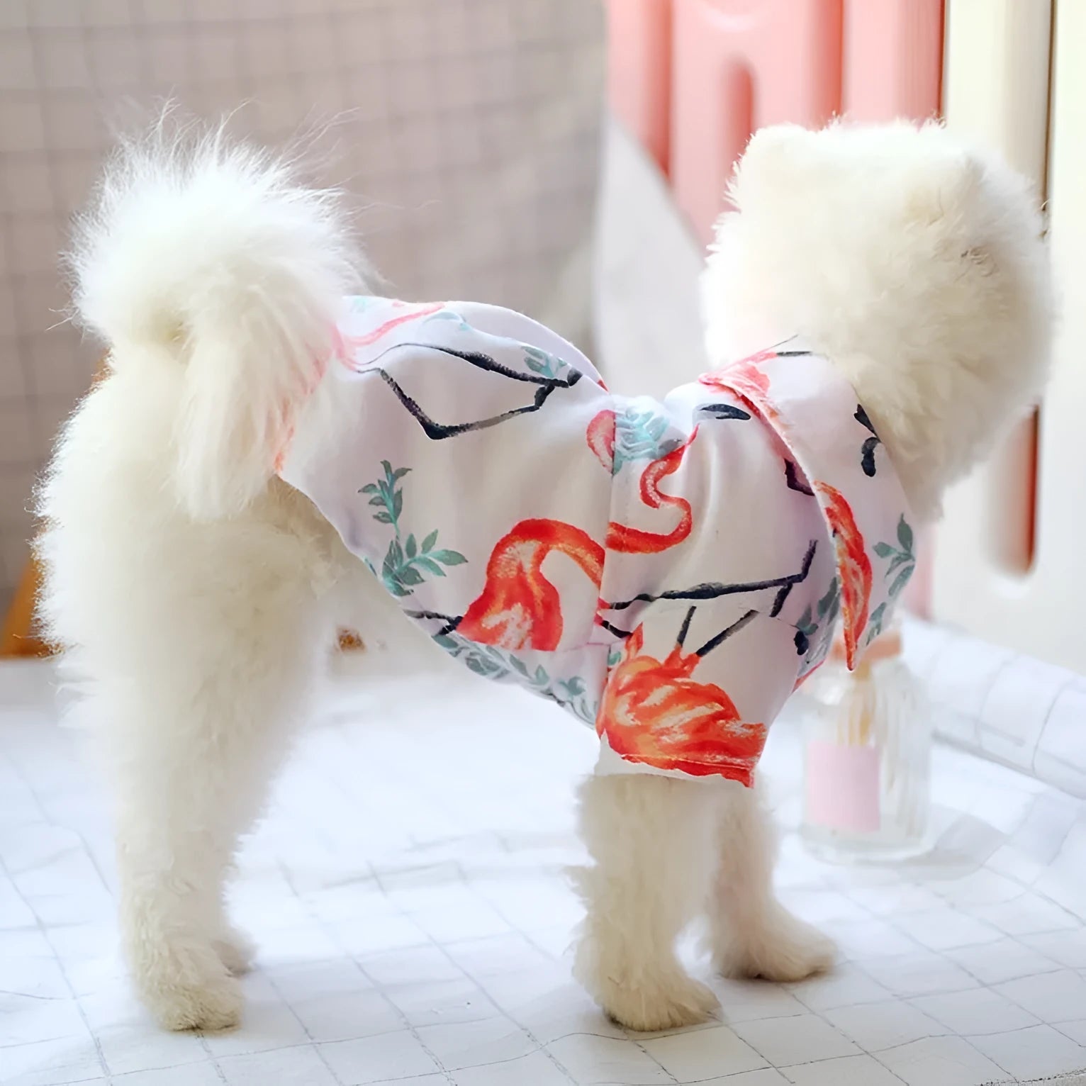 Small dog summer casual shirt with dragonfly print, cotton fabric, size M for thin breeds