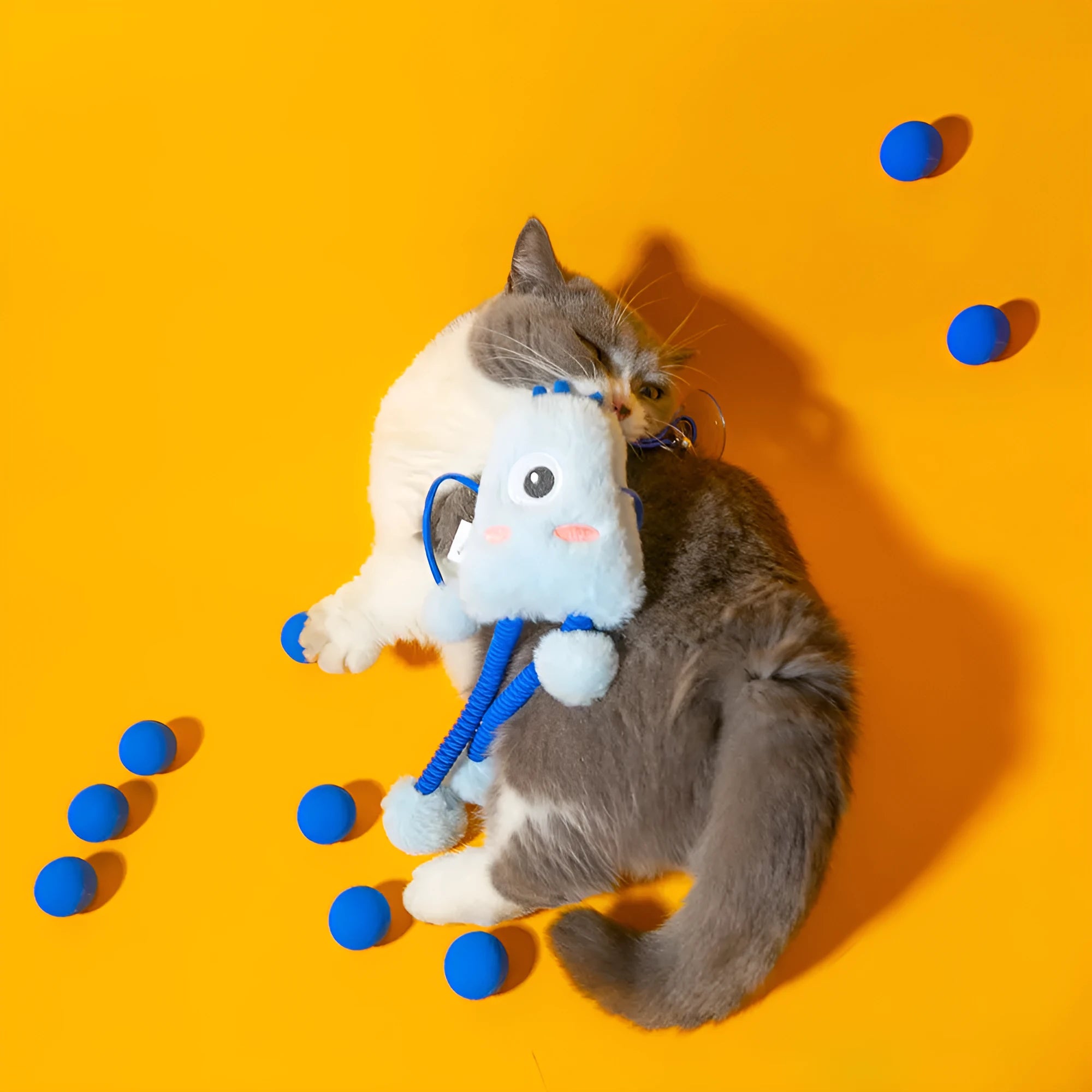 Blue telescopic elastic rope cat toy with plush ring and bell measuring 30cm by 30cm