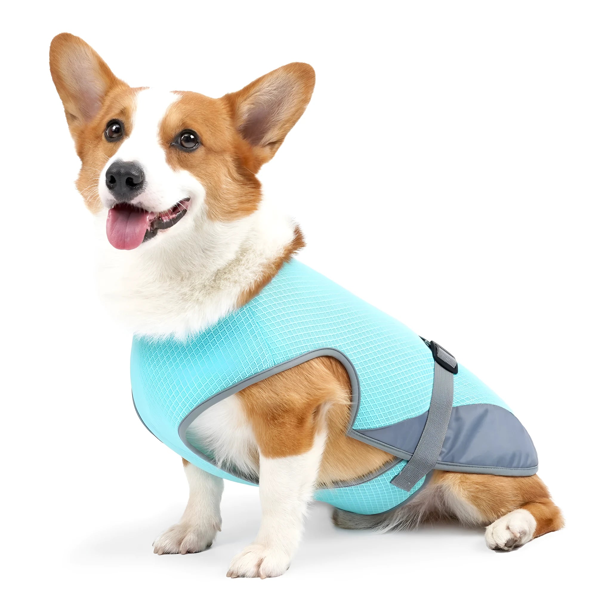 Light grey polyester dog cooling vest on a canine model, showing vest style and fit.