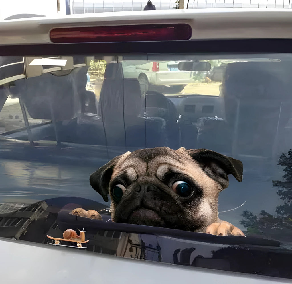 3D cartoon pug snail car window sticker 30 by 20 centimetres on car window