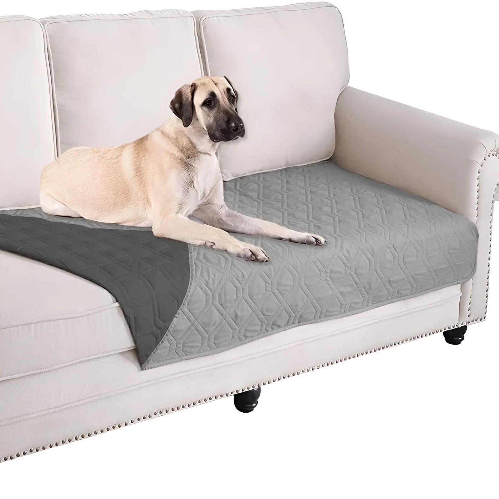 Waterproof reversible dog blanket on a sofa, showing two colour sides, with size chart for nine options.