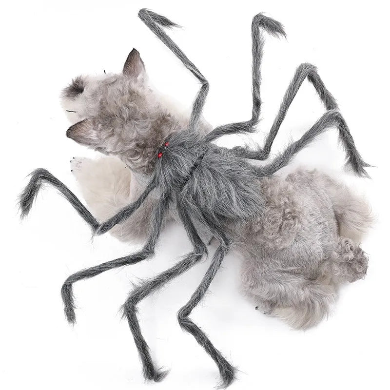 Grey spider costume on a dog for Halloween, showing full-body coverage.