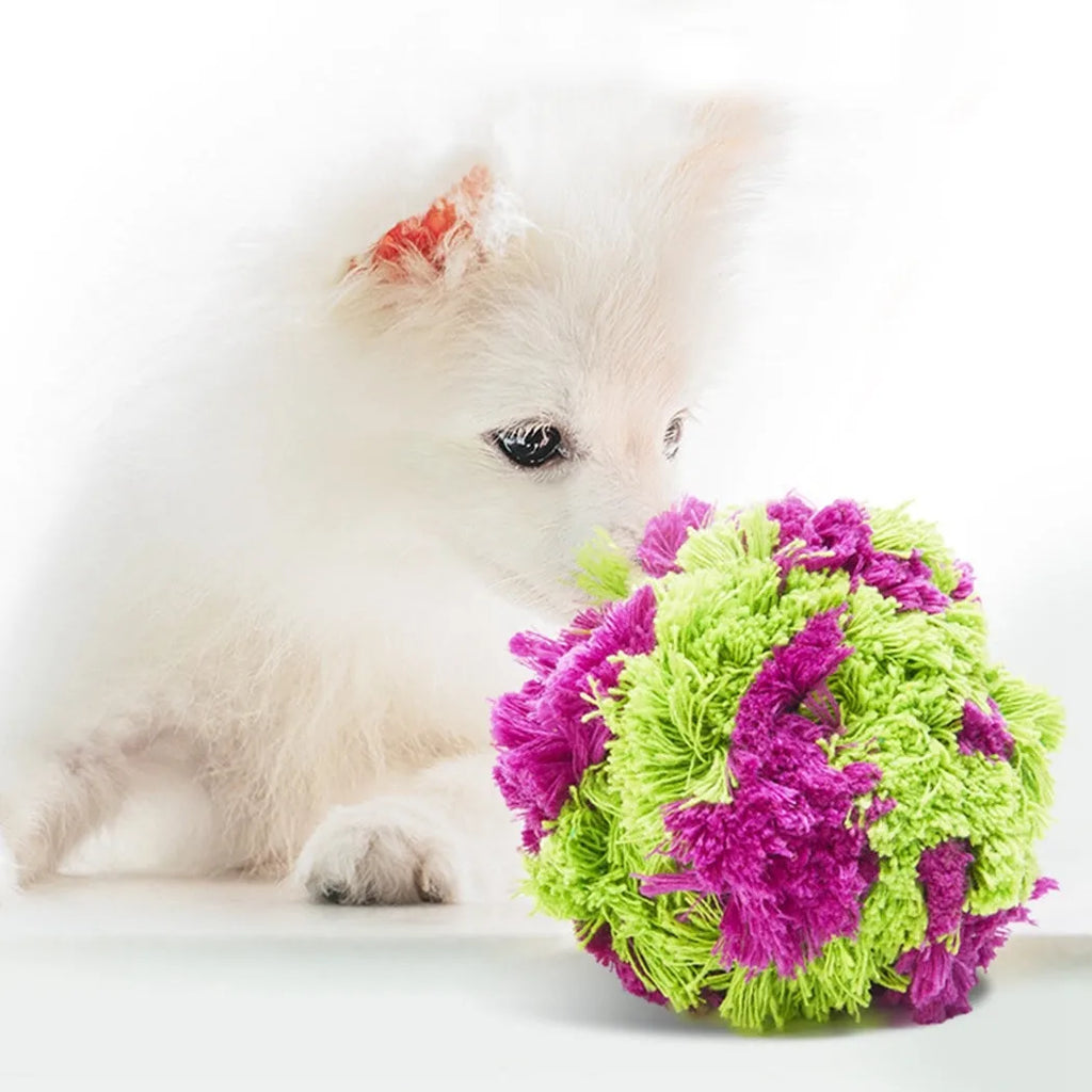 Purple plush knotty seaweed style dog chew toy ball for puppy teething and interactive fetch games.