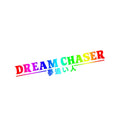 Dream Chaser design car rear window sticker in seven colour options on PET material