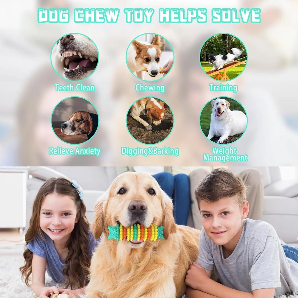 Blue caterpillar-shaped natural rubber dog chew toy for aggressive chewers