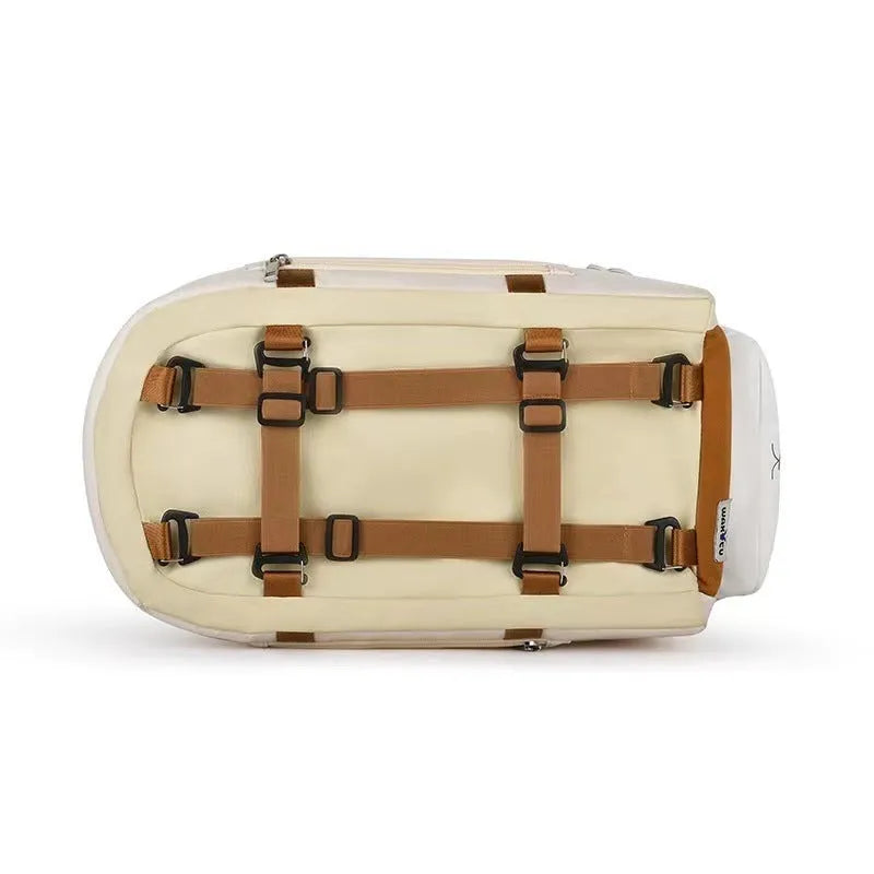 Hard-sided beige pet travel crate with EPE padding, dimensions 43x25x22.5cm