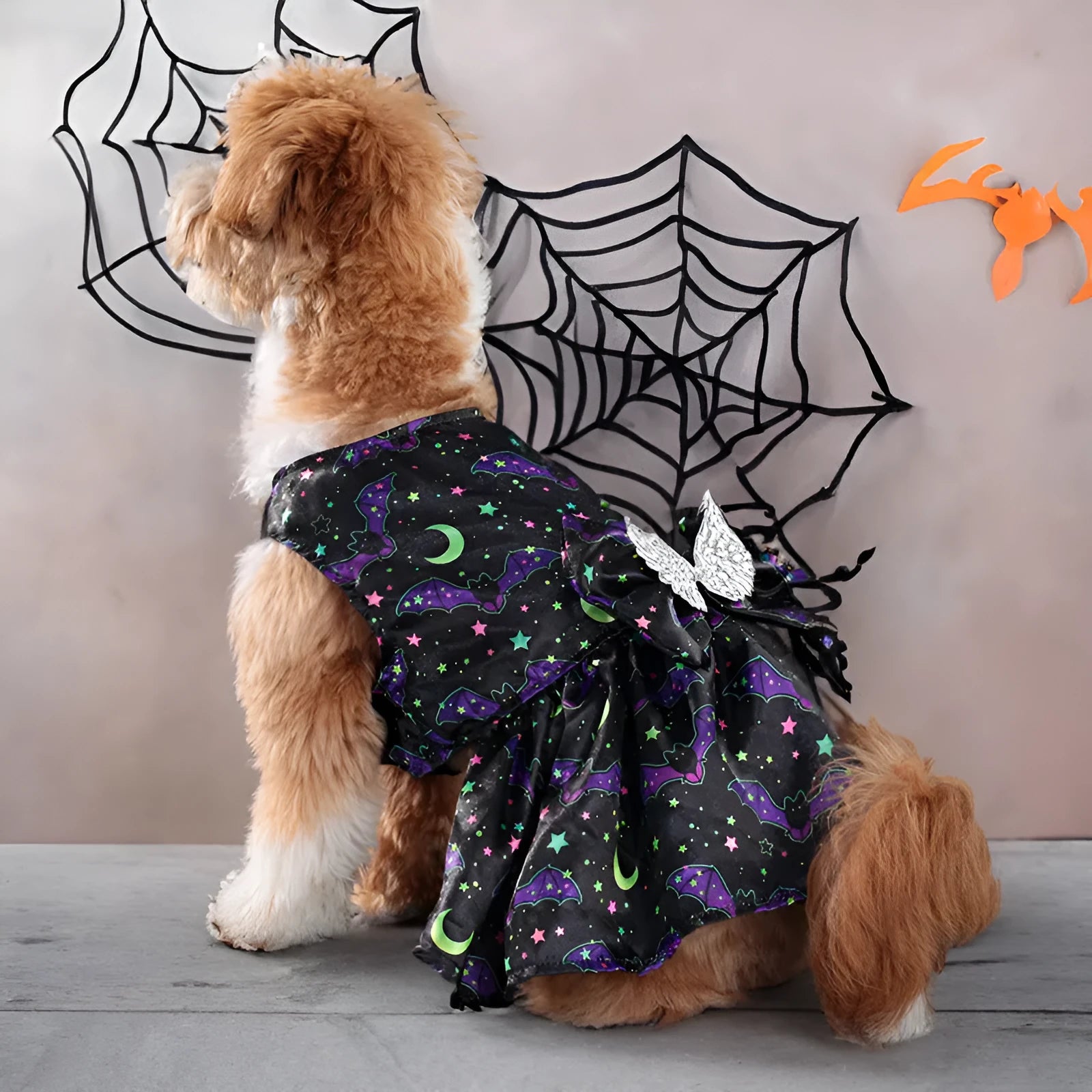 Angel wings Halloween costume for dogs in bright pumpkin and bright bat colour options