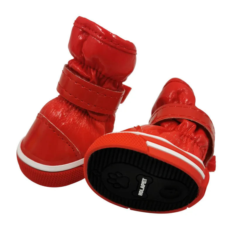 Dog cotton ski boots in four colours on a dog's paws for winter walking