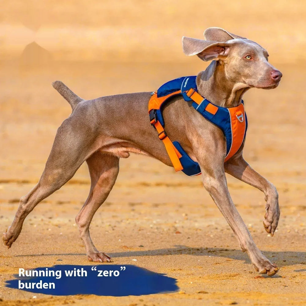 Nylon dog chest strap vest harness in orange blue colour with single chest back design