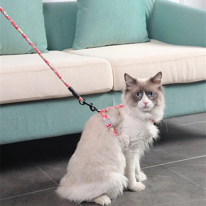 Cat I-shaped chest harness in black with metal buckle and 150cm cotton rope