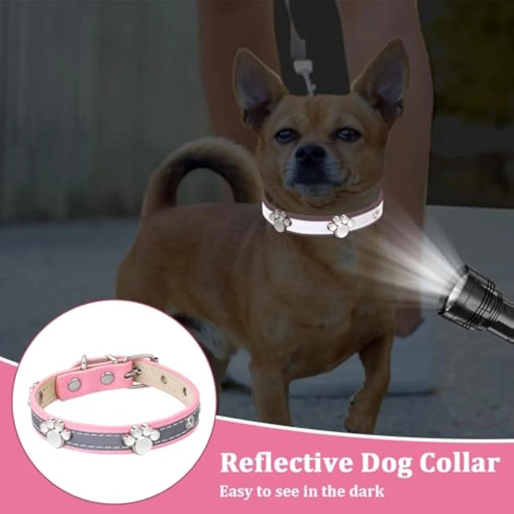 Reflective brown leather dog collar with metal buckle and paw print rivet, shown on a size chart.