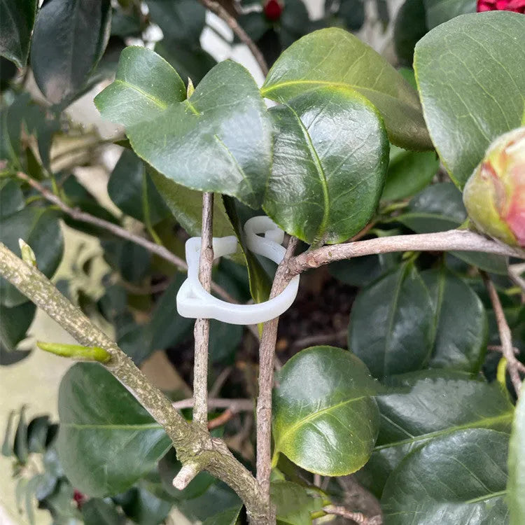 Small cat-shaped plastic plant clip in four colour options for indoor gardening support