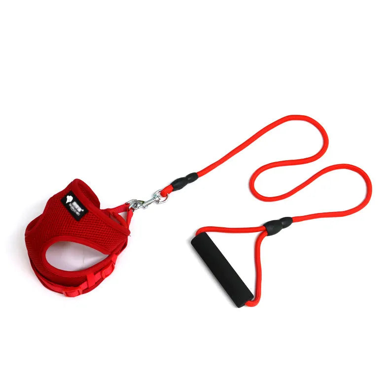 Blue dog lead and collar set with a foam handle and a separate long towing rope for small dogs.