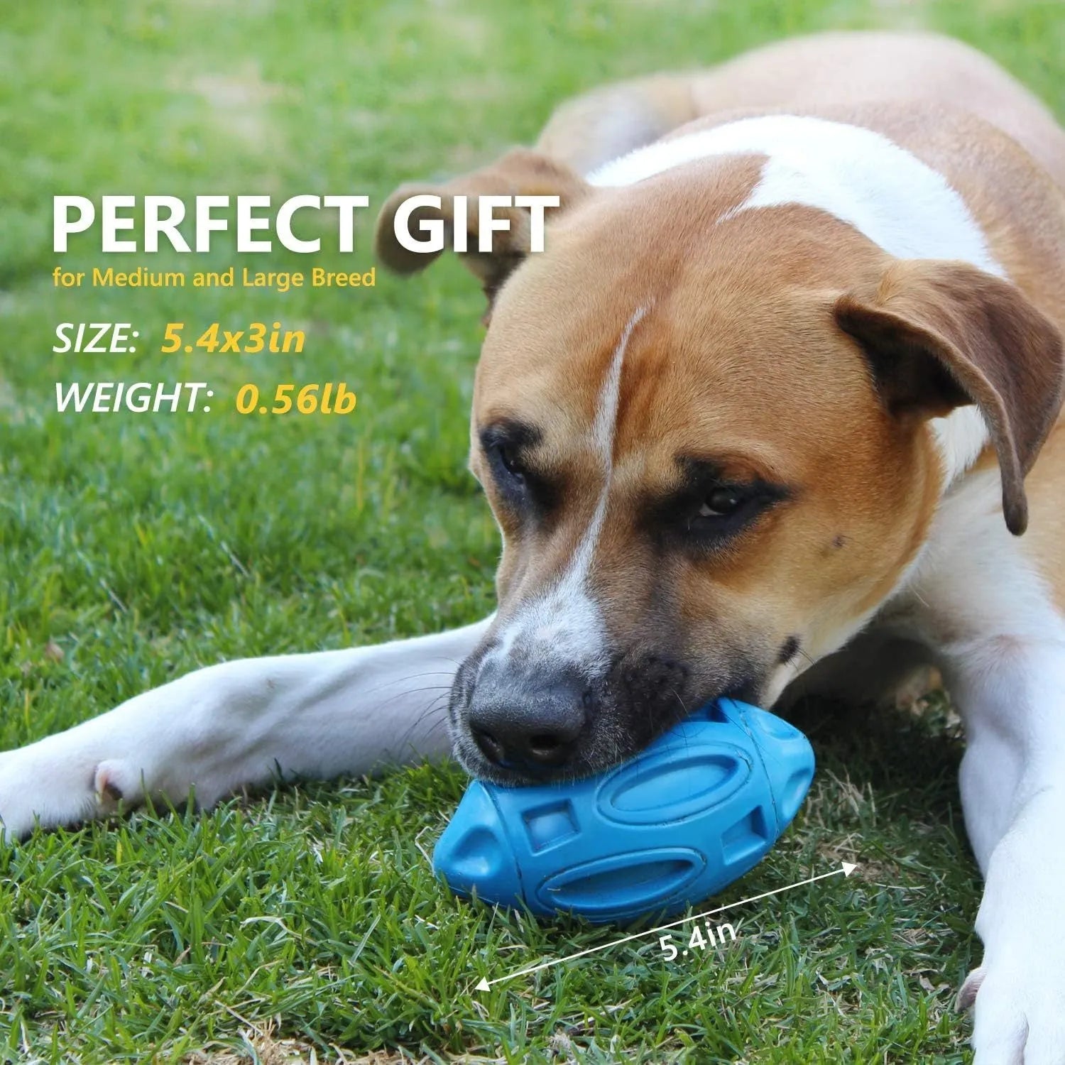 Natural rubber squeaky dog chew ball in blue, green or orange for medium large breeds