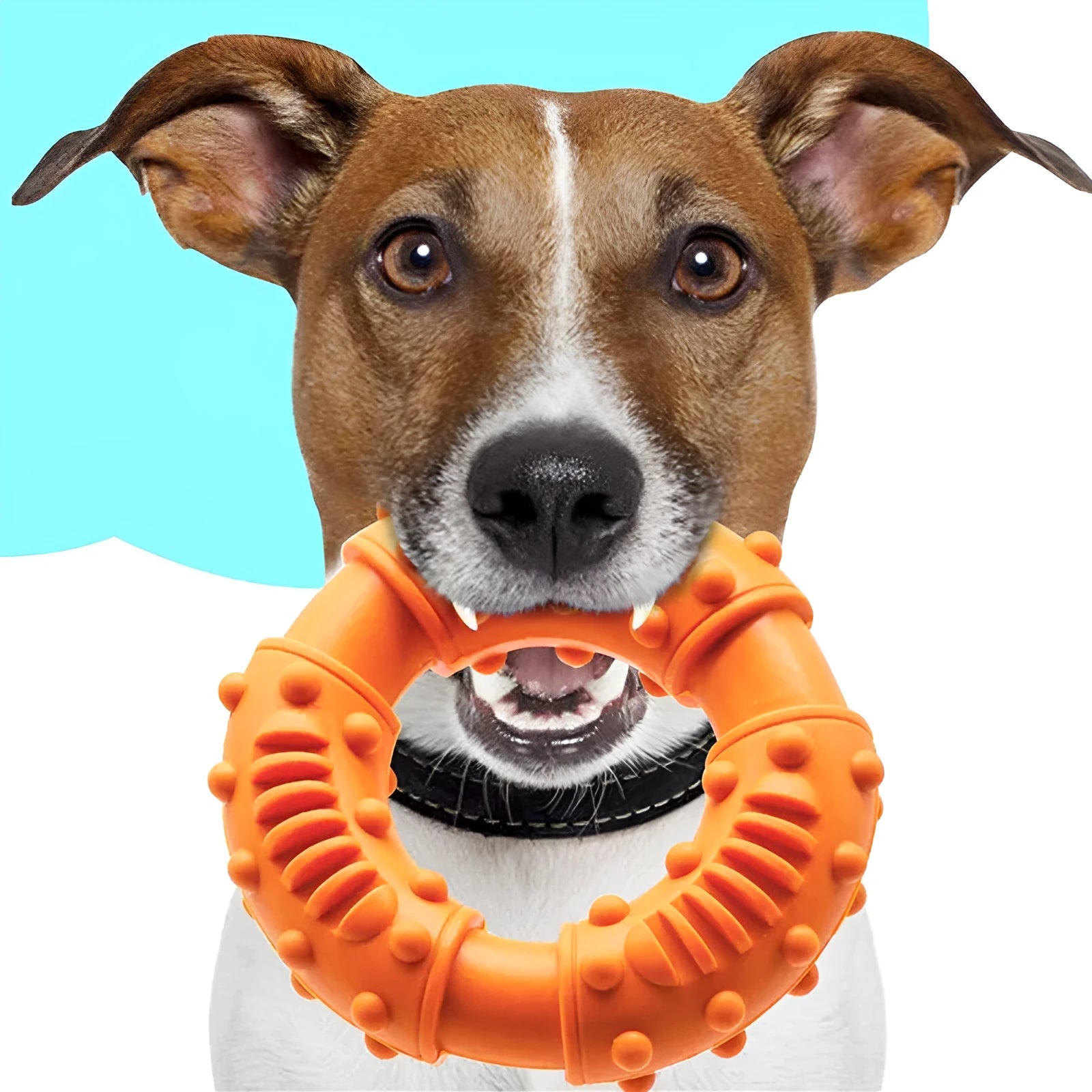 Blue hollow dog fetch stick toy on grass, showing its lightweight chewy construction for safe fetching games