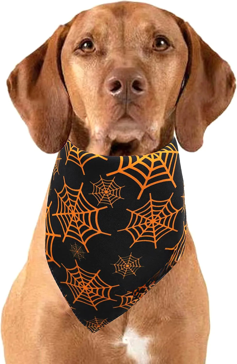 Black and orange reversible Halloween dog bandana with pumpkin and spider web patterns, showing adjustable neck strap.