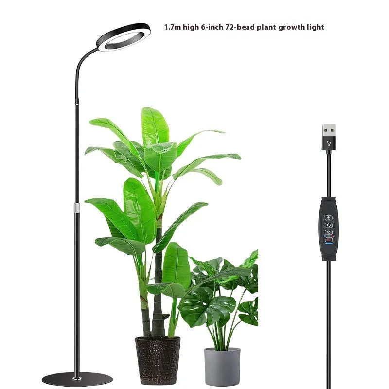 A white 6-inch angel ring LED grow light on a tall, thin adjustable floor stand, positioned next to indoor houseplants.