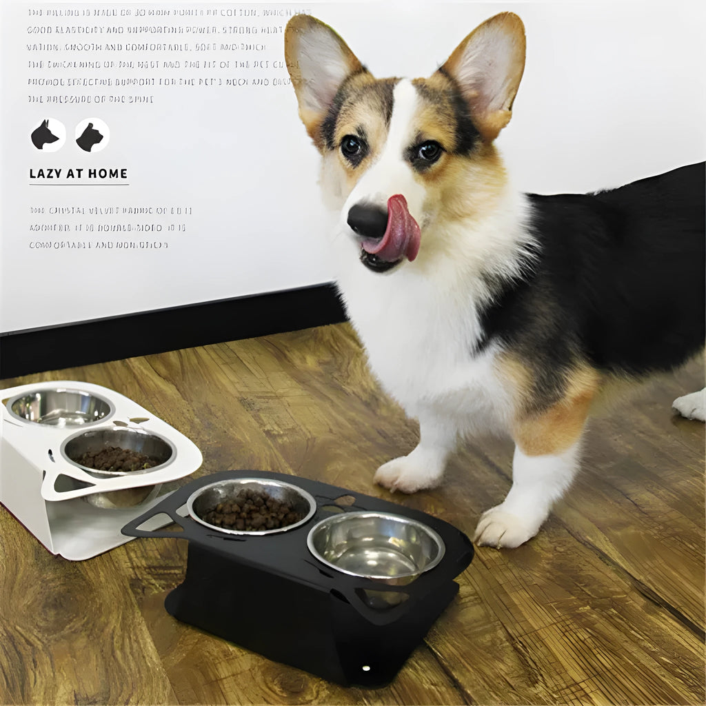 Anti-falling stainless steel pet feeding bowl in black with inclined design