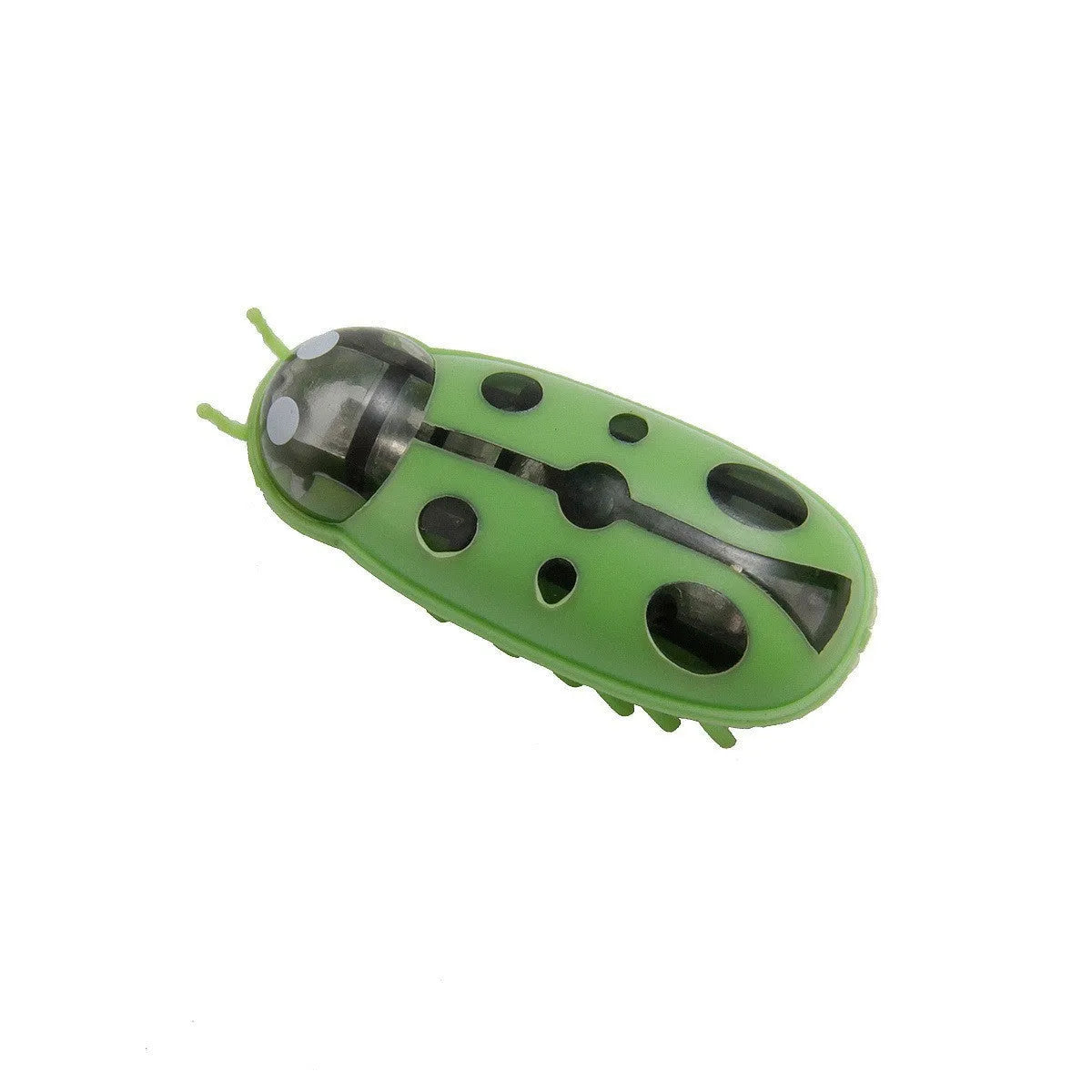 Small worm-shaped electric jumping insect cat toy in plastic, shown in red and black ladybug style.