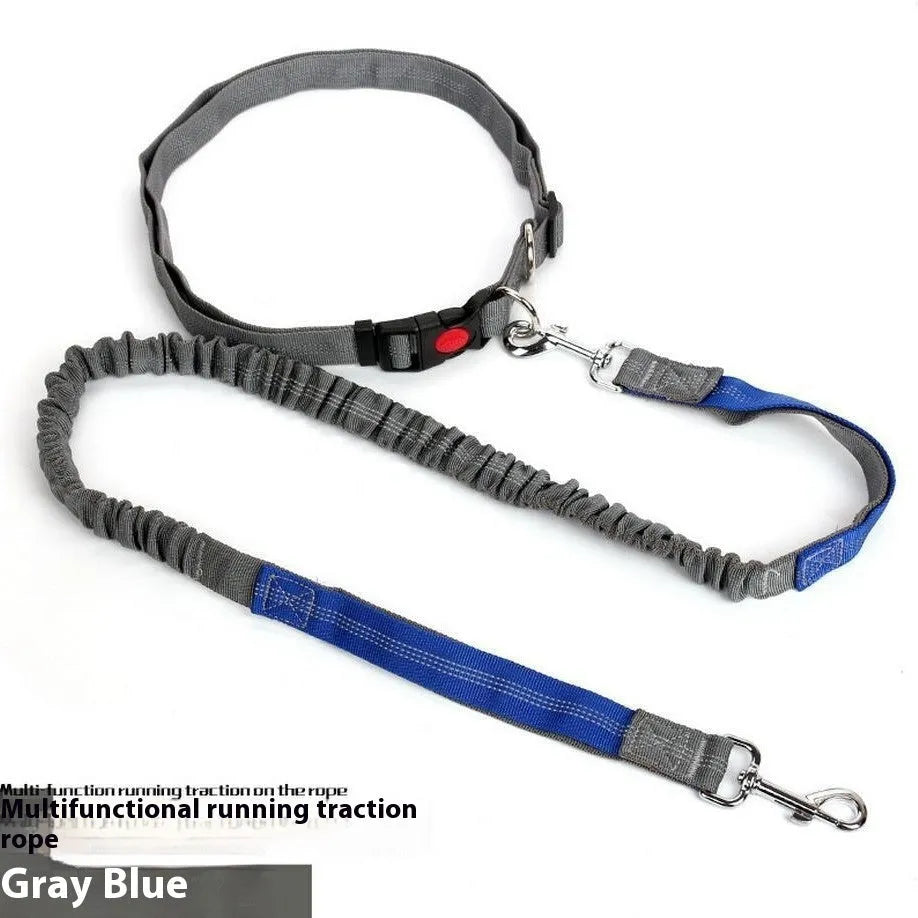 Reflective nylon dog leash with elastic sling grip in blue and red colour combination