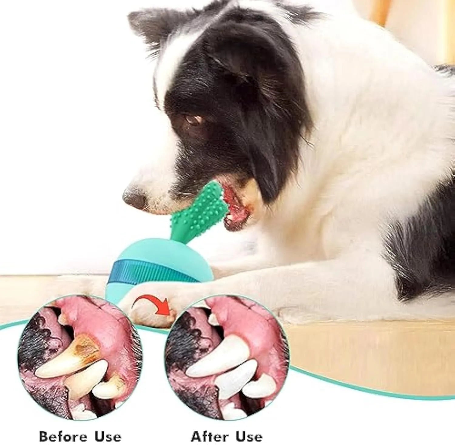 Blue or green rubber dog treat dispenser tumbler ball toy for medium large dogs