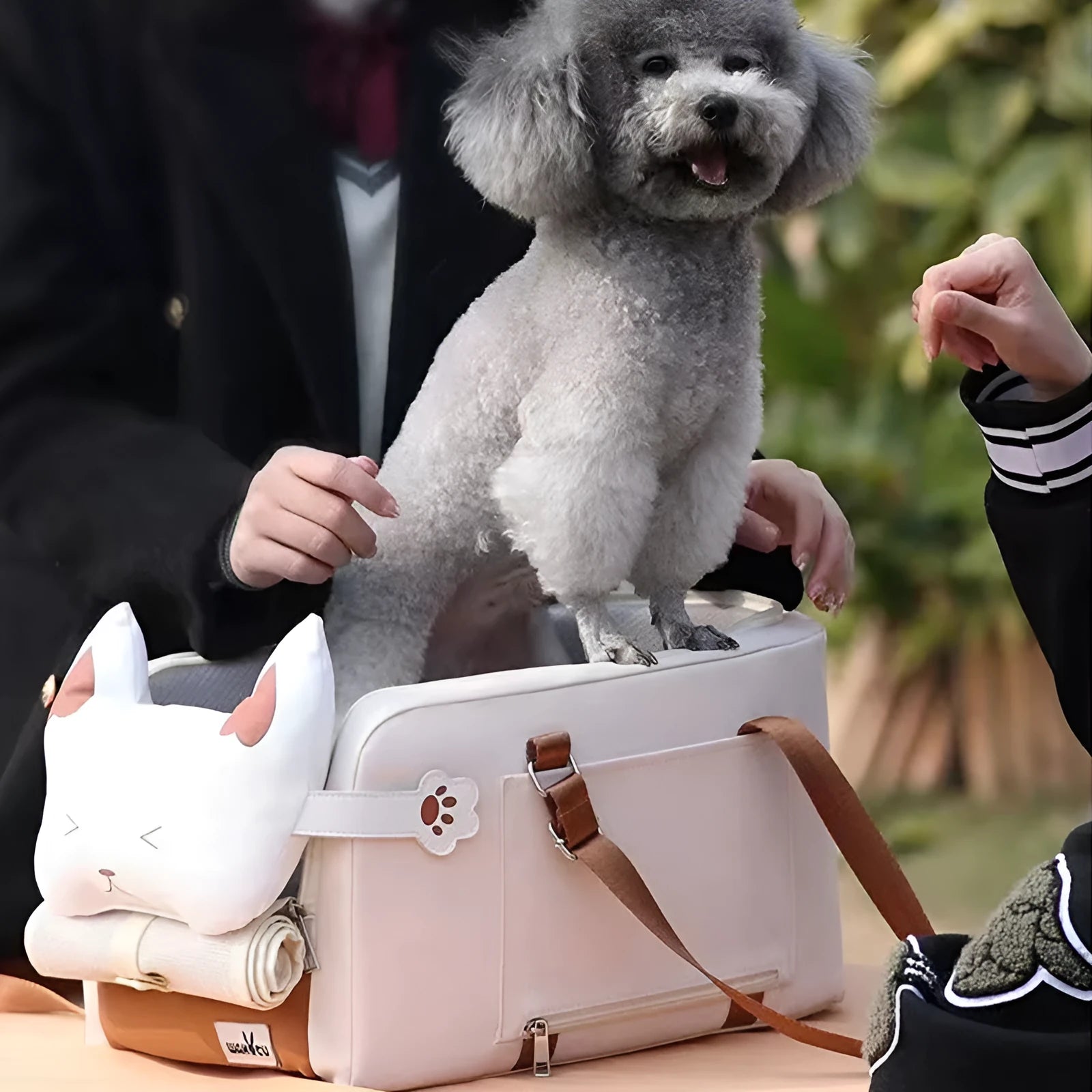 Hard-sided beige pet travel crate with EPE padding, dimensions 43x25x22.5cm
