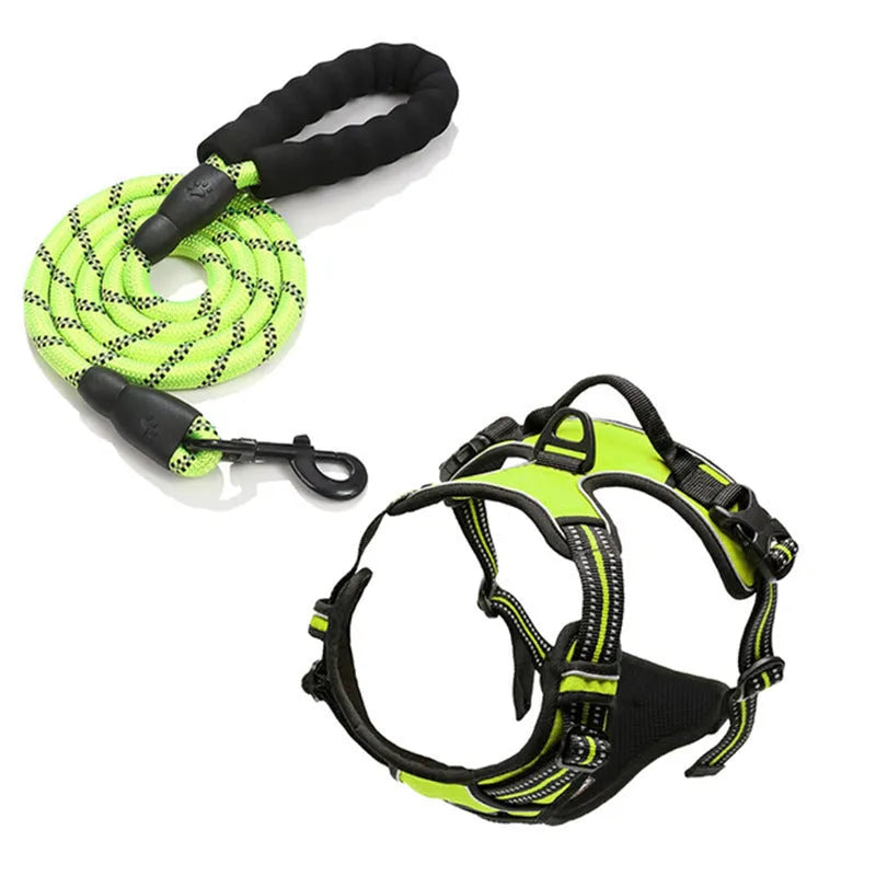 Nylon dog chest and back rope in multiple colours with hand holding loop for walking training