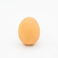 Egg-shaped plush dog chew toy with squeaker for small to medium breed puppies