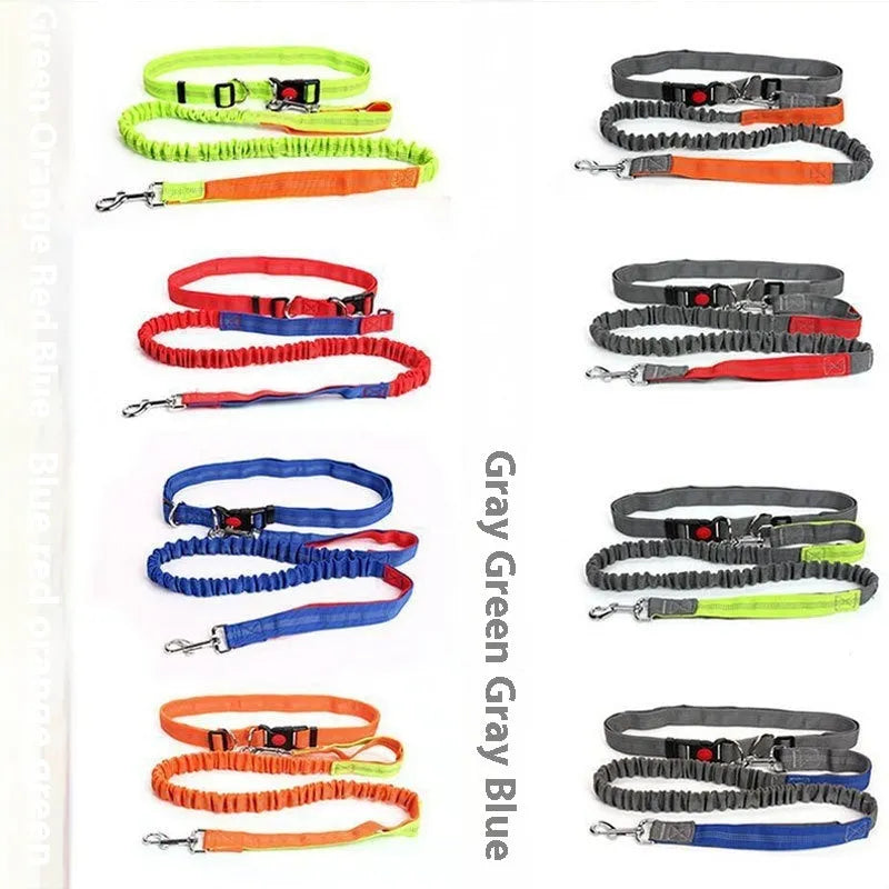 Reflective nylon dog leash with elastic sling grip in blue and red colour combination