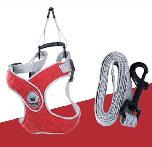 Adjustable dog harness in breathable mesh fabric with metal D-ring and attached leash.