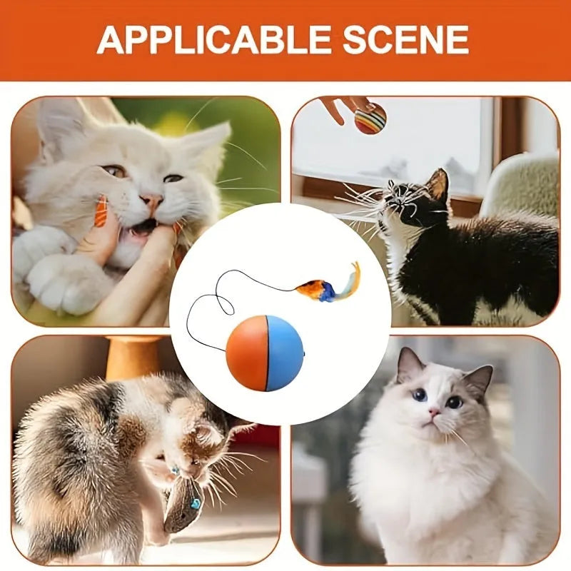 Interactive cat toy ball with plush mouse attachment in blue and orange colours