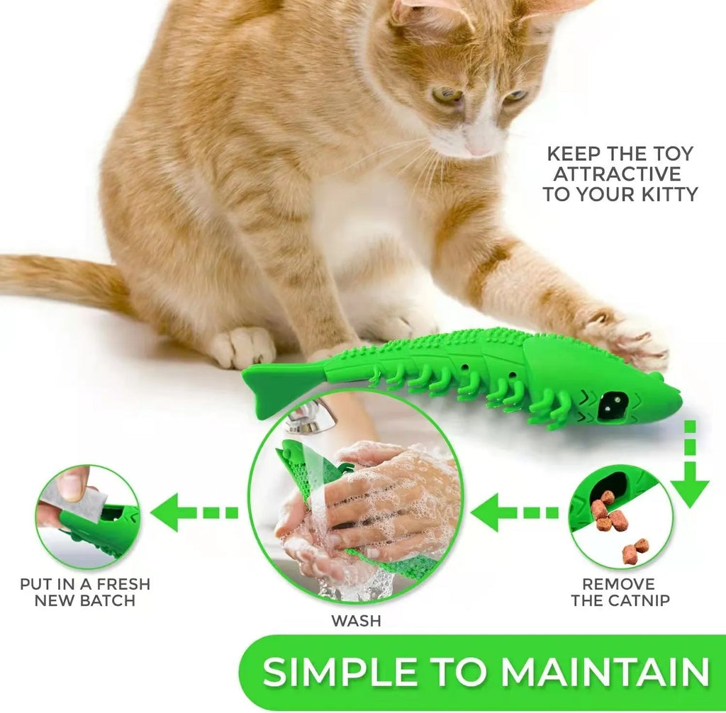 Blue hard rubber cat chew toy with textured surface for dental cleaning containing catnip and bell