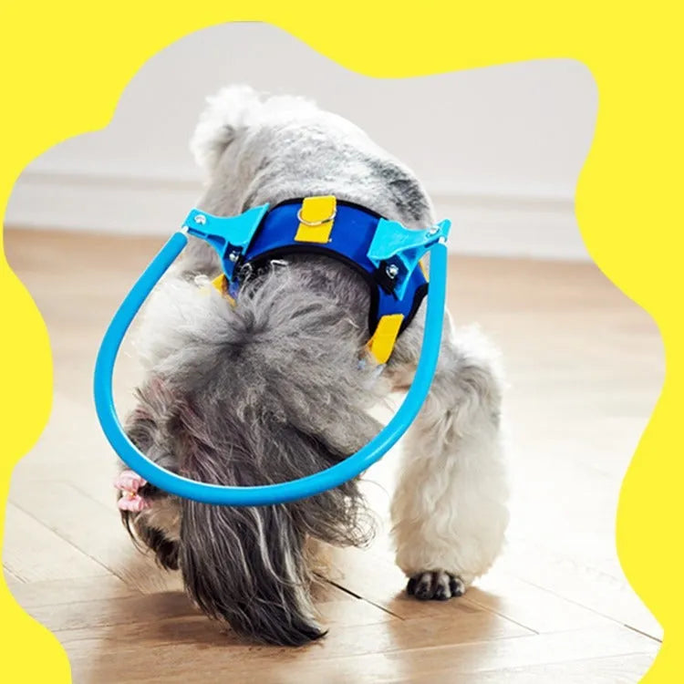 Blue adjustable dog blind collar with anti-collision ring protection in various sizes