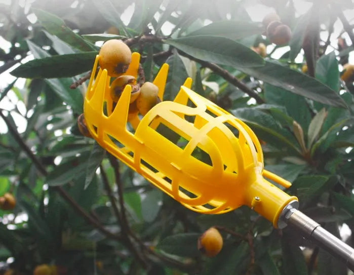 Metal fruit picker with silver ring and cotton bag for picking apples and pears in a garden