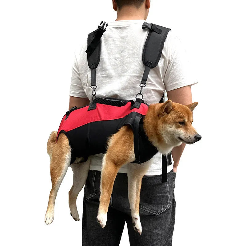 Multifunctional Oxford cloth pet backpack in black with colour accents shown in S, M, L sizes for outdoor walking