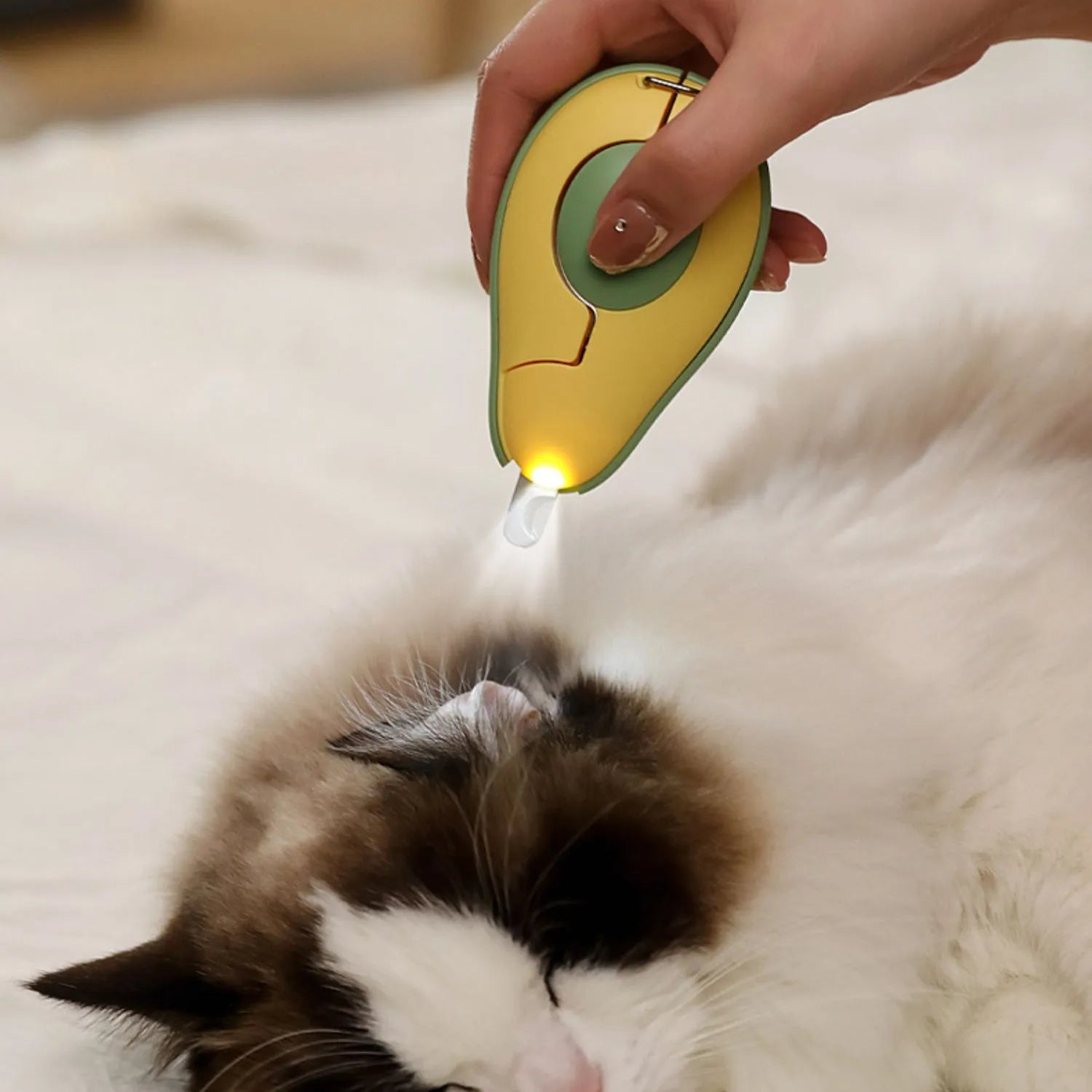 Professional LED light pet nail clipper for small dogs and cats in green, pink and white colours