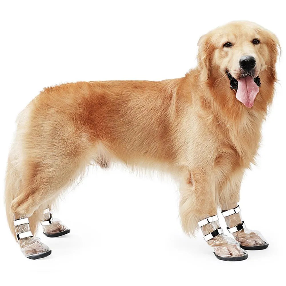 Black waterproof dog shoes with non-slip sole on a large dog outdoors