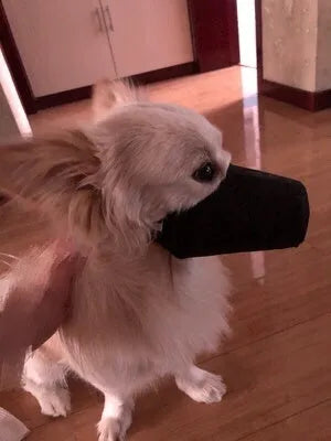 Adjustable black cloth muzzle for pets, side view showing strap and breathable material