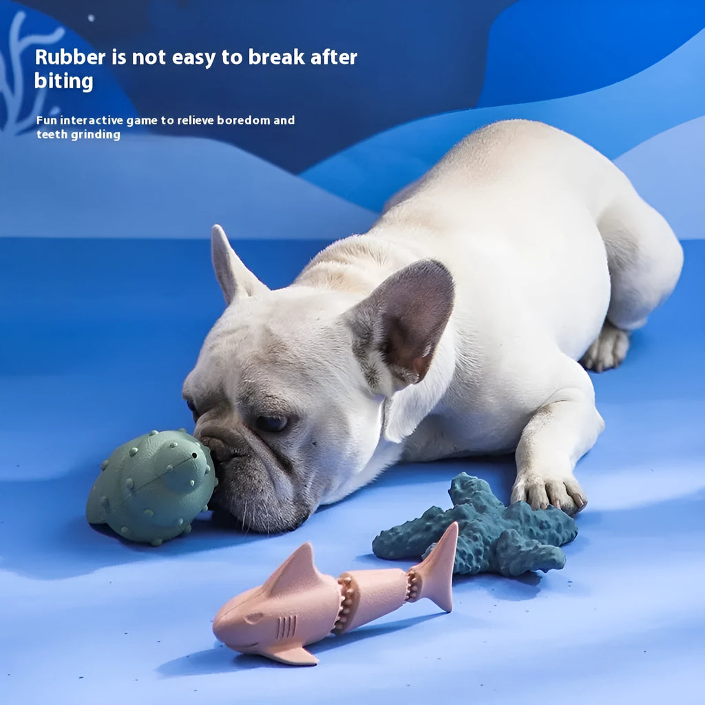 Blue rubber shark dog chew toy on a white background