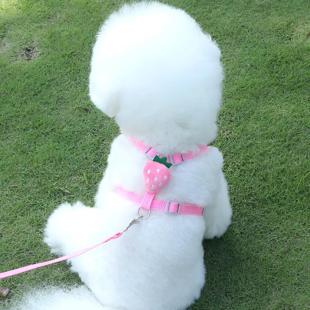 Reflective vest-style harness for small dogs with attached leash in avocado, carrot, and strawberry colours