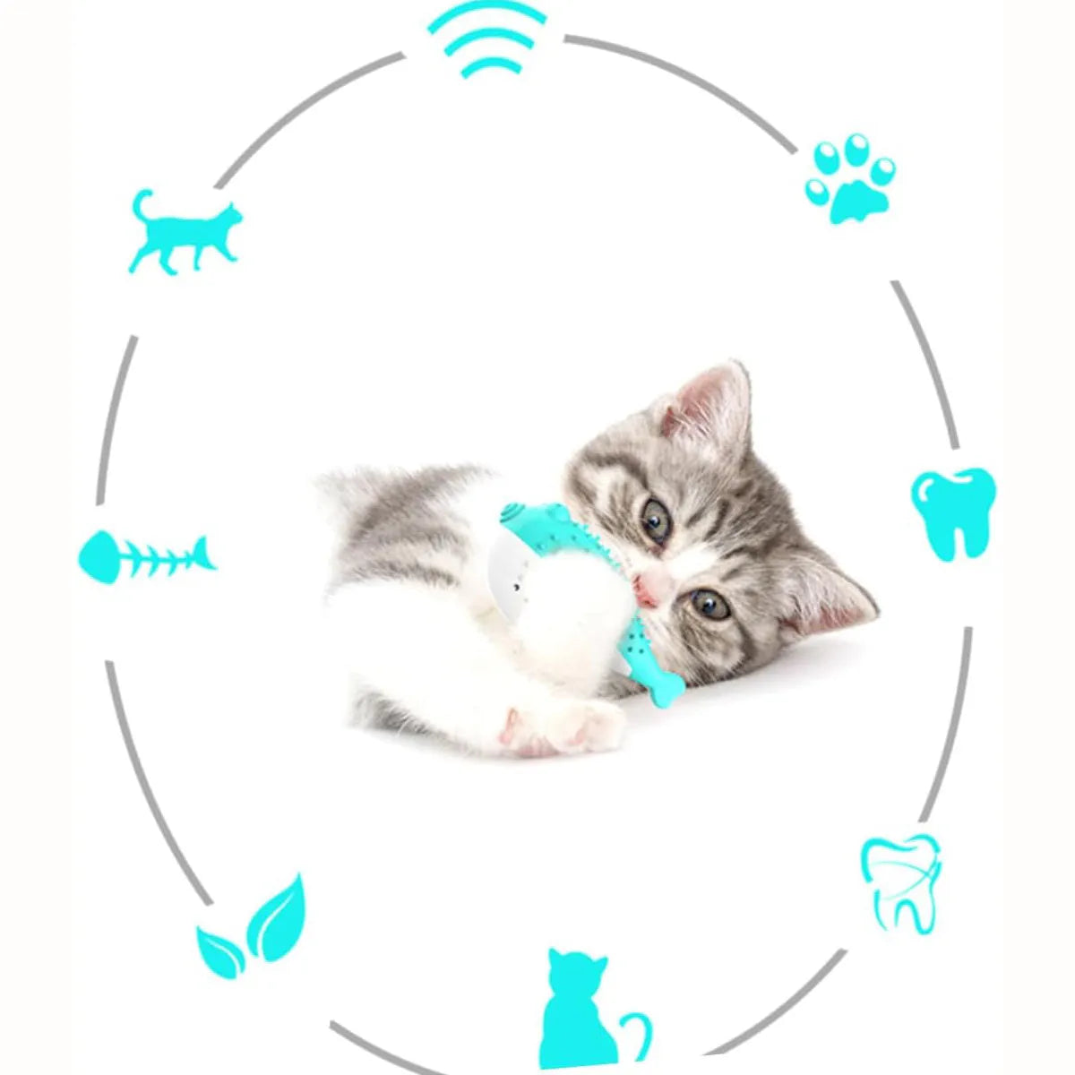Blue silicone fish-shaped chew and grab toy for cats on a white background.