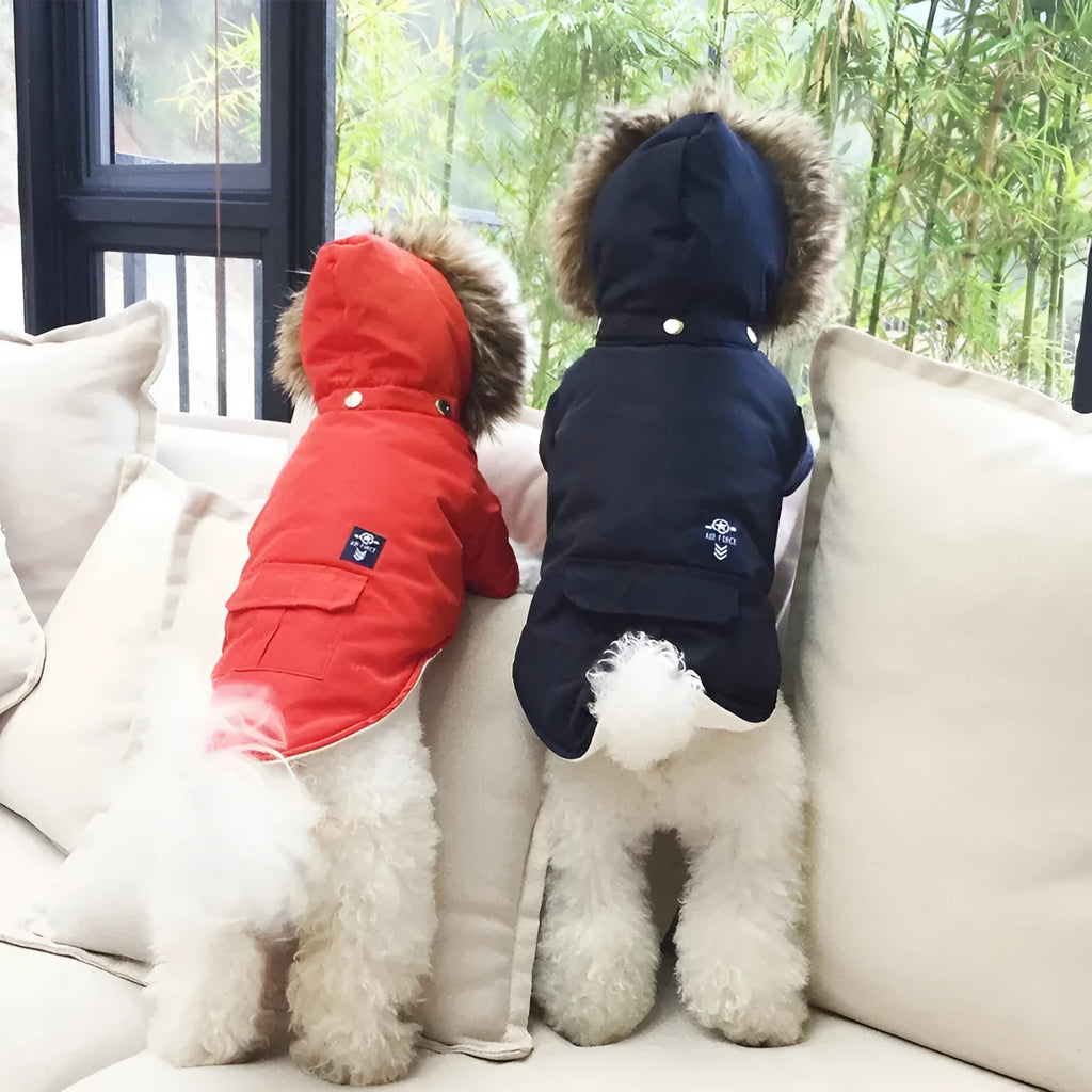 Hooded cotton dog coat in beige with hood, on a neutral background, showing full body coverage