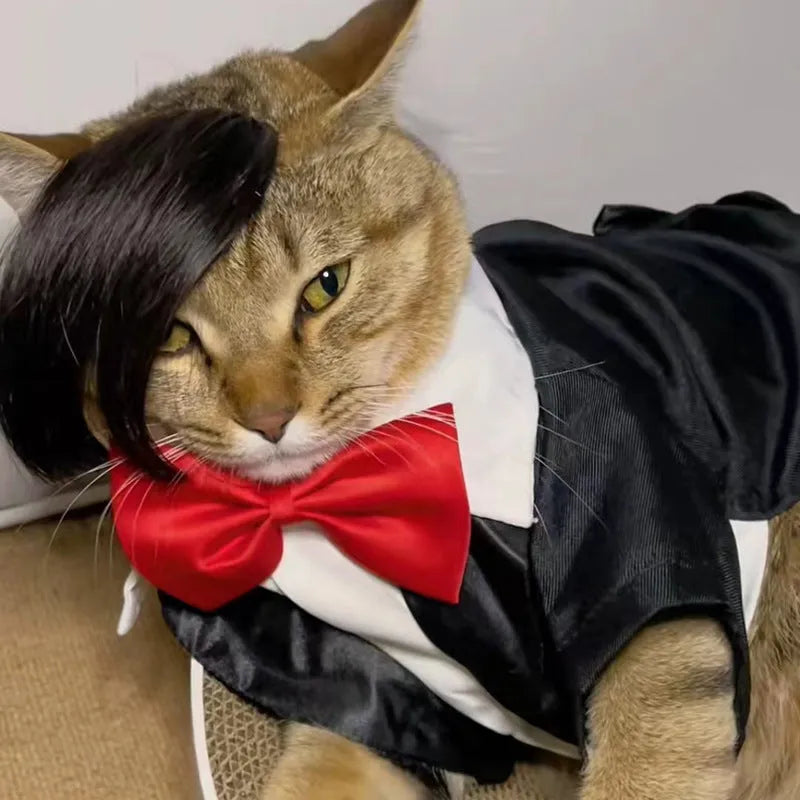 Black cat wig with imitation braid styling for fox costume dress up