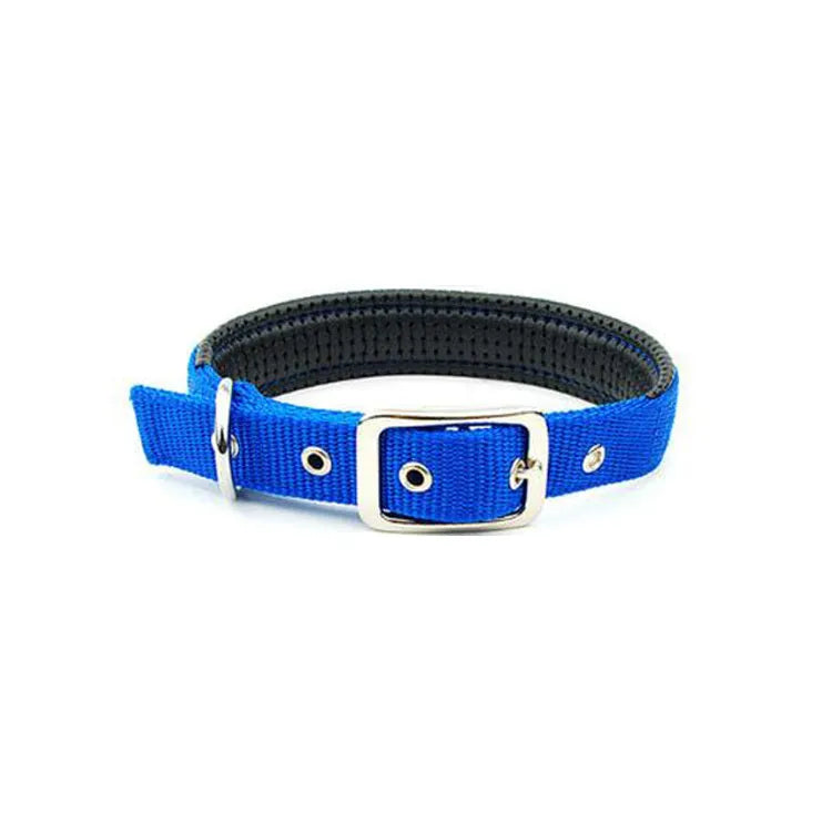 Black nylon reflective dog collar with buckle closure on a light background