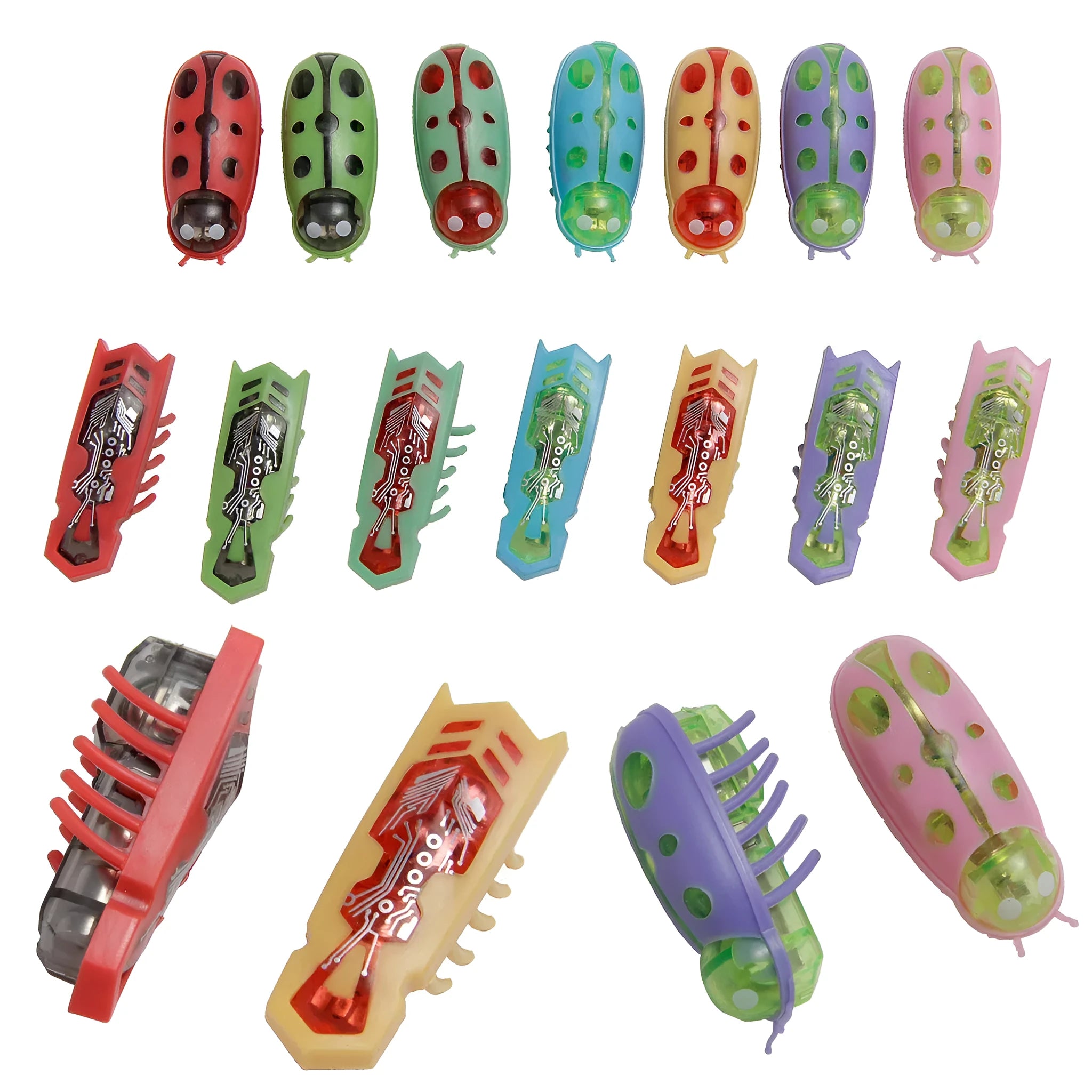 Mini electric bug pet toy with ladybird design on wooden floor